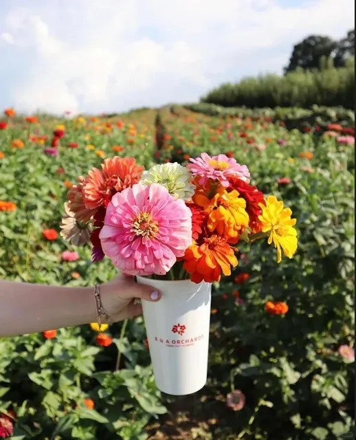 ATL Apple Picking Guide 🍎🍂