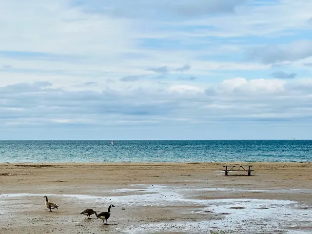  Hidden Gem Just 1.5 Hours from Toronto: Presqu'ile Provincial Park