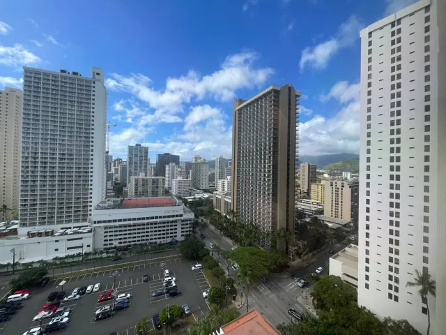 Absolutely Must Stay Again... 🌺