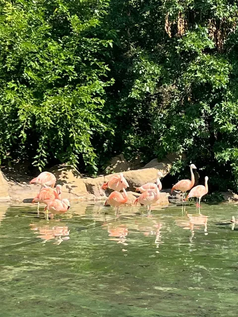 Minneapolis City Walk Route