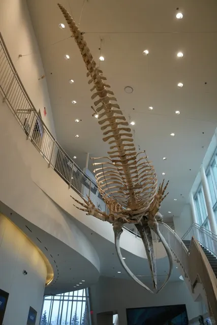 BLINK-AND-YOU’LL-STILL-SEE-ICE” SPEED RUN