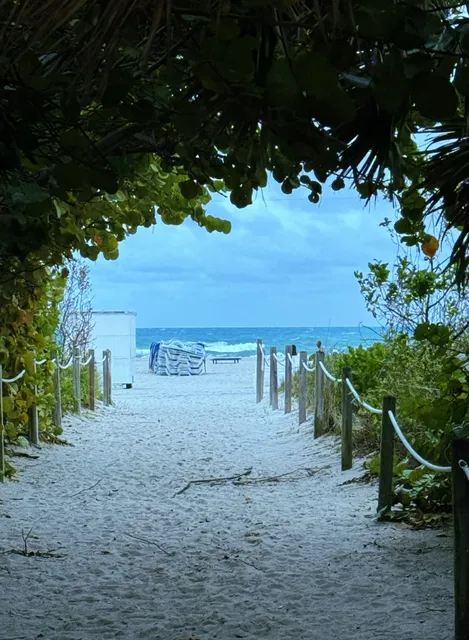 ​​Miami Travel Guide | Sun, Culture & Shopping​​ 🌴