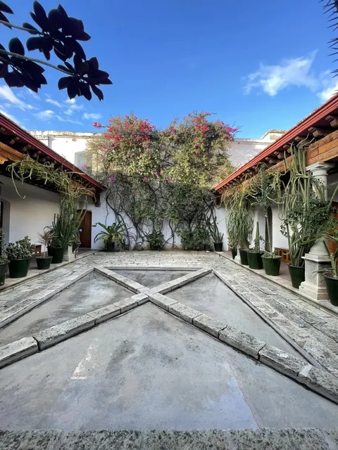 💀🌈 Oaxaca's Free Museums: A Budget Art Lover's Dream