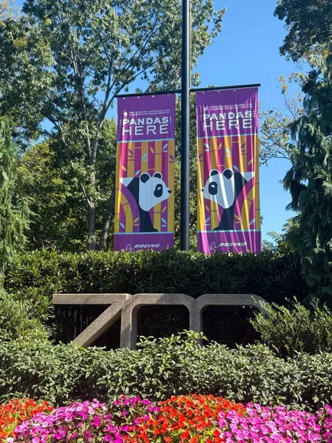 🇺🇸 Washington, D.C. | National Zoo 🐾