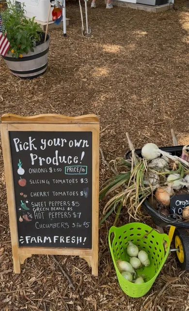 Blackberry Picking at a Charming McKinney Farm 🐥