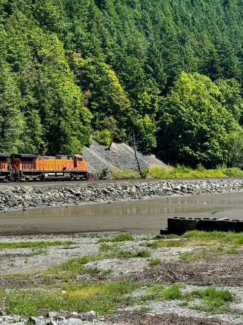 Seattle Summer Magic: Mountains, Oysters & Sunshine! 🌞
