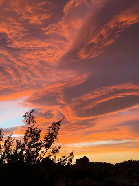 LA’s Desert Backyard 🌵🏜️｜Living in Yucca Valley