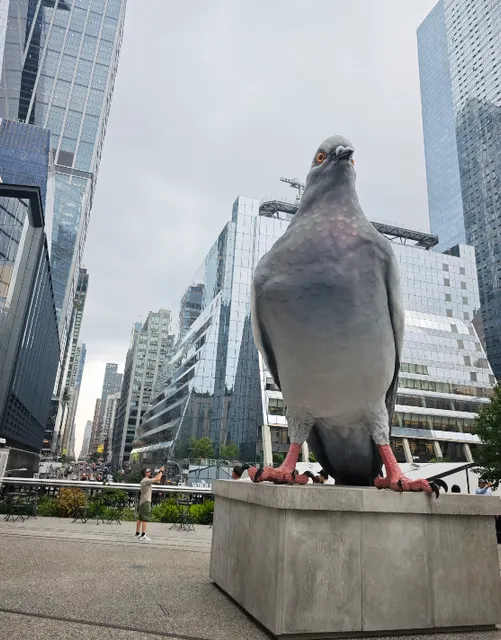 High Line Park in NYC 🌿🏙️