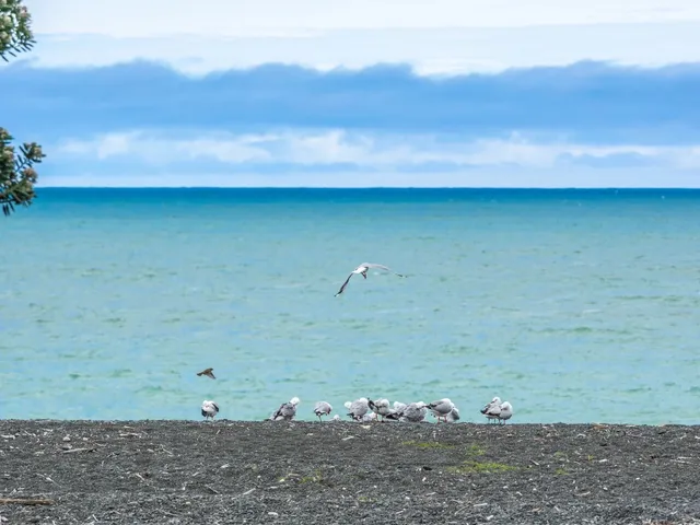 🎬 Napier: New Zealand’s Real-Life "Grand Budapest Hotel" 🏛️✨