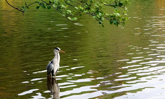 🏴󠁧󠁢󠁳󠁣󠁴󠁿 Solo 3-Day Edinburgh Itinerary: A Romantic Slow Travel 