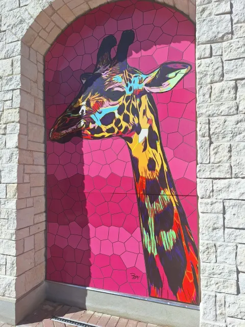 We Got Lucky – Saw Animals Active & Exploring! 🐾