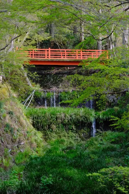 Sanzen-in Temple and Kifune Shrine 🌇