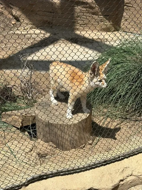 🇺🇸 San Diego Attraction Review (Unfiltered Edition!)