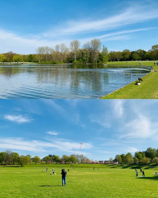 🇩🇪 Cologne | Riverside Reverie Along the Rhine 🌊☀️