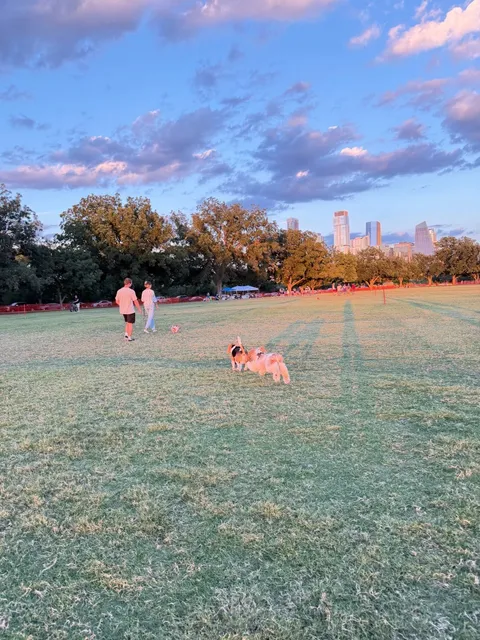 🧺 Zilker Park Picnic: A Starry Night Adventure with Little Explorers!