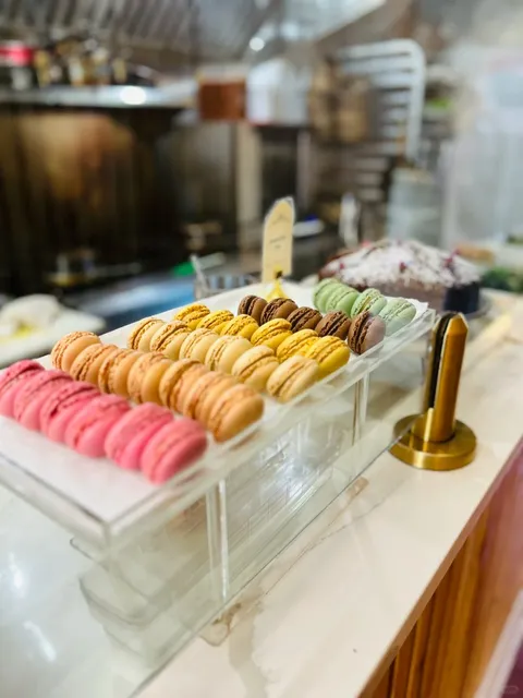 🇺🇸 Philadelphia｜A French Romantic Spot Perfect for Spring 🌸