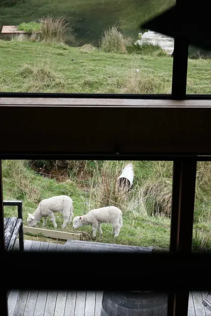 Dunedin | I Don't Recommend Driving from Queenstown