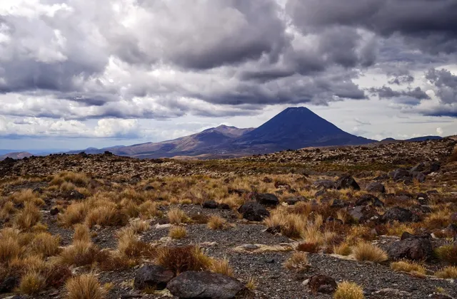 🇳🇿 NZ North Island Road Trip | Stop 4: Taupo Adventures