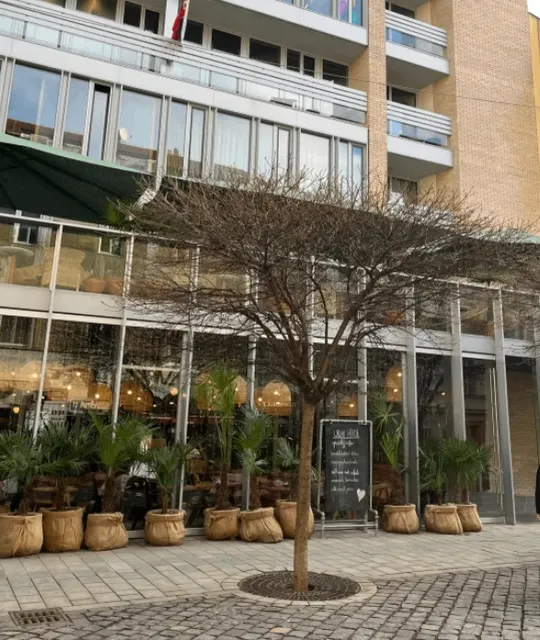 Restaurant Recommendations in Bratislava