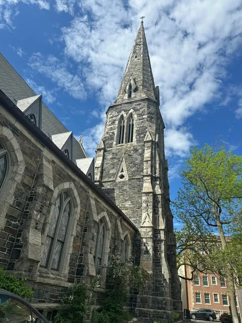 🎓🌿 Who Studies at Harvard? (Jealousy Level: 1000%) 🤯✨