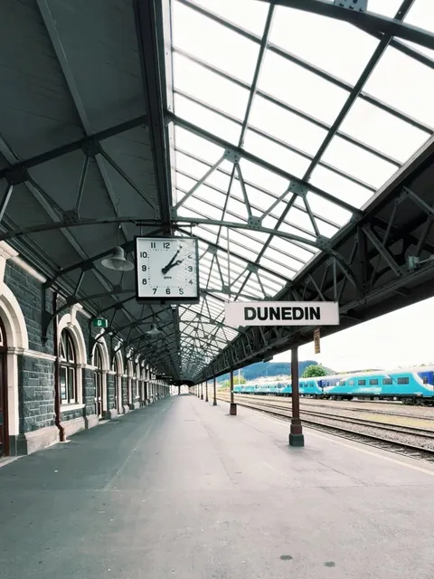 The Ultimate Dunedin Travel Guide - Must-Try Brunch Spots! 🍳☕