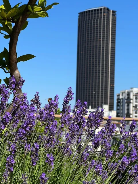 This isn't the South of France。。。