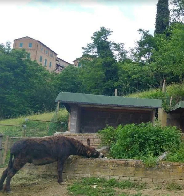 A Hidden Oasis of Cuisine in Nature