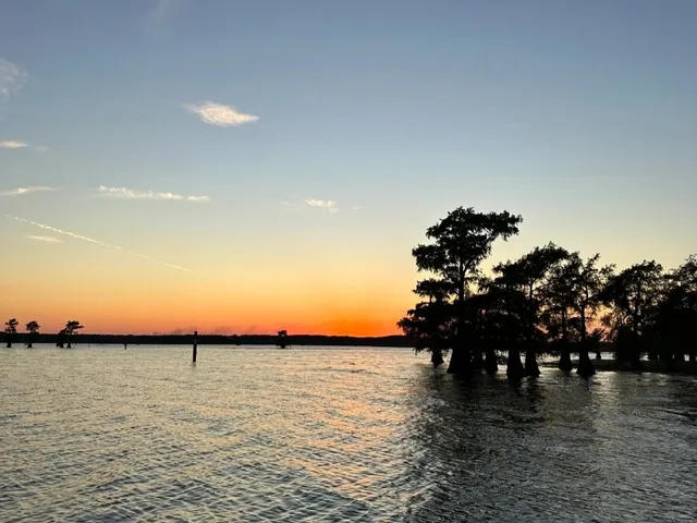 🇺🇸 Autumn Escape near Houston | Caddo Lake Adventure 🍁🚤