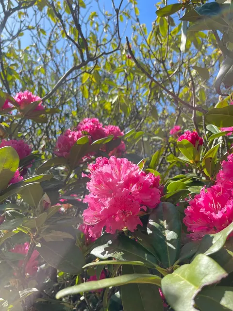 Seattle Family Outing 