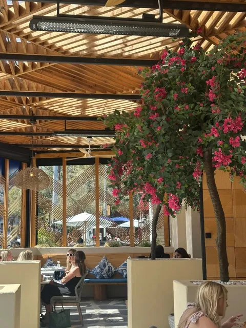 Dallas | Lyla, a Garden🌸 Restaurant Perfect for Spring