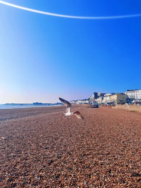 Hastings｜A Seaside Town That Stole My Heart