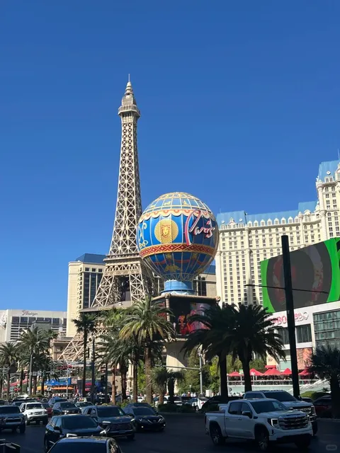 The Ultimate "Ball View" Experience 