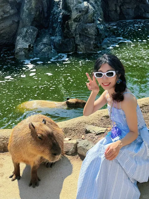 🐾 Inddoor Zoo in Kobe, Japan: Beyond My Expectations 🥺