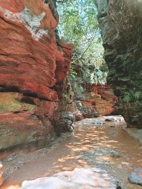 Brazil Trip Day 1 - Jalapao