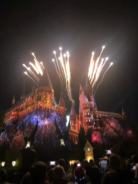 Florida Escape: Beyond All Expectations! 