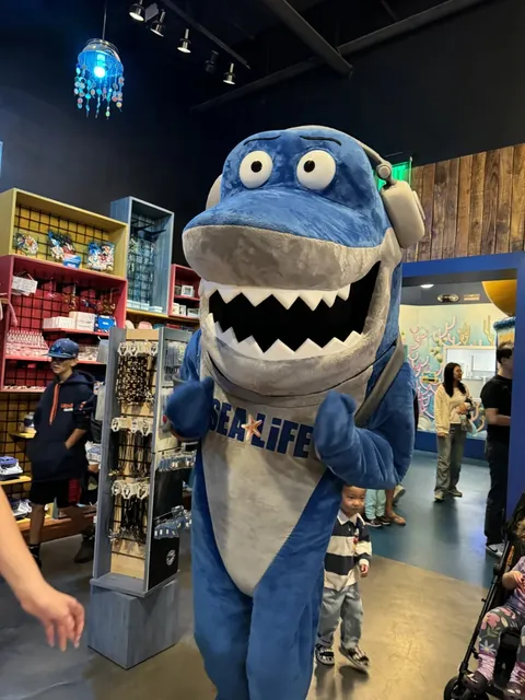 NJ’s Semi-Free Kid-Friendly Series: Sea Life 🦈 (❌)