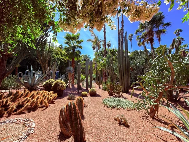 he Botanical Garden in Marrakech 🌵🐬🌴