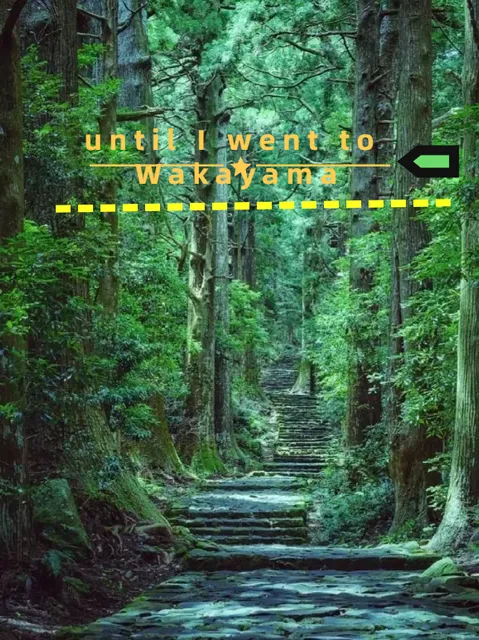 Discovering Wakayama: Kansai's Hidden Gem Beyond Osaka