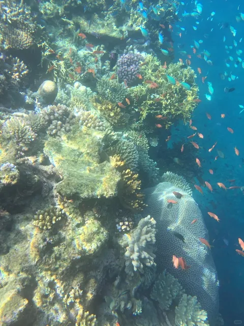 🇫🇯 Pure Bliss in Fiji ✨