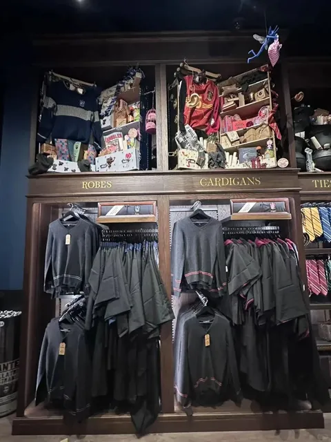  Waited 1.5 Hours – But Made It Into Chicago’s Harry Potter Store!