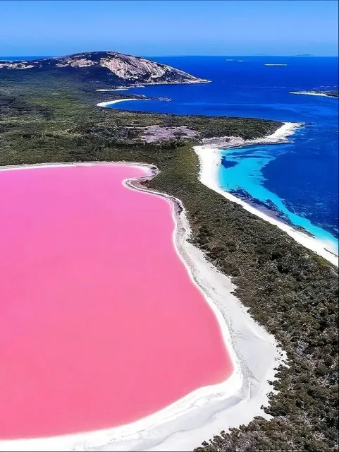🇲🇽 Cancún’s Las Coloradas – A Real-Life Barbie World!