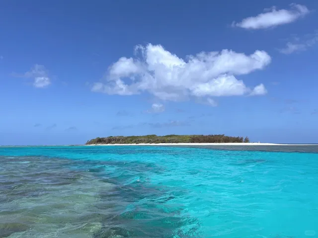 The jelly sea of the small reef that doesn't need retouching