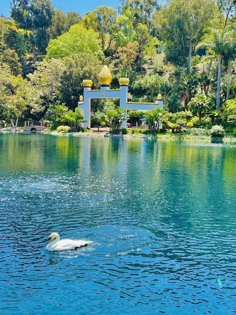 🦢 Found a Fairytale Swan Lake Near LA! 🦢