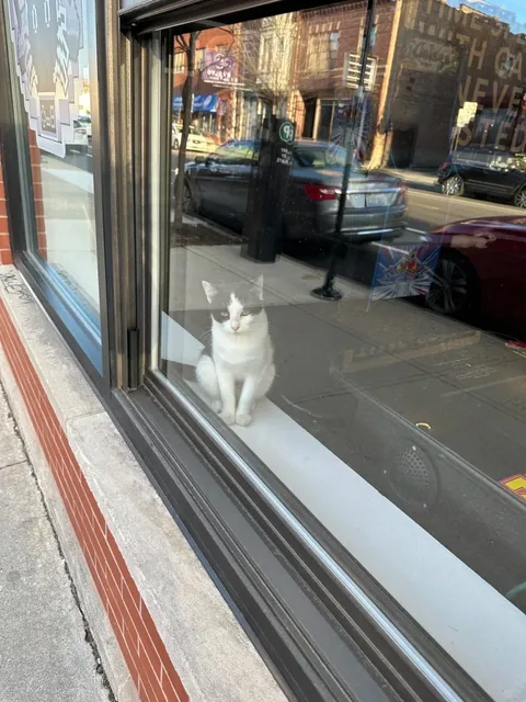 Chicago Food | Filipino Restaurant: Kubo Chicago