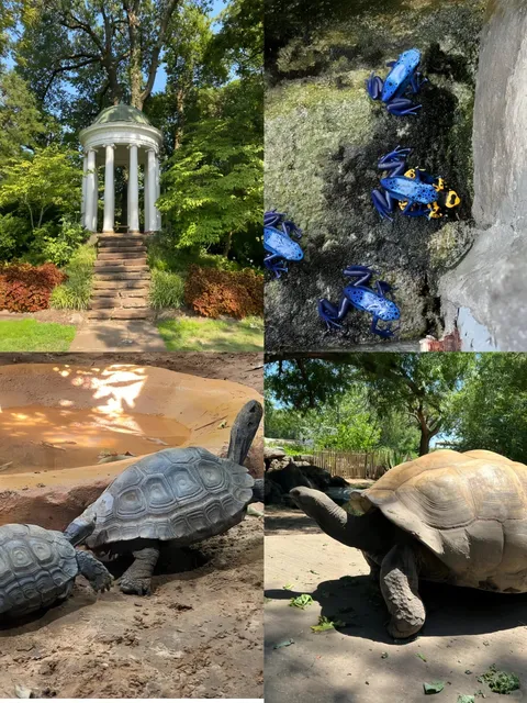 Oklahoma - Tulsa 🌆🇺🇸