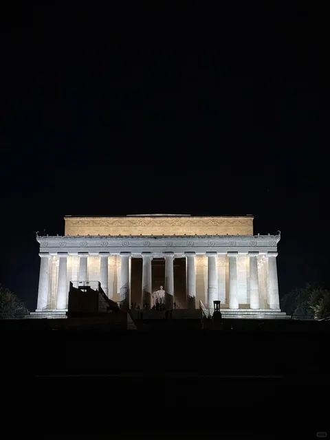 🎄 My First American Christmas Tree—Seen Through the Snow