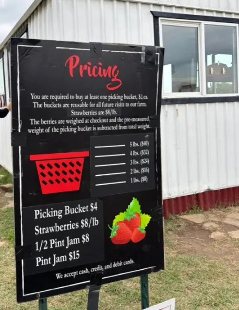 Strawberry Picking at Pecan Creek Strawberry Farm in Dallas 