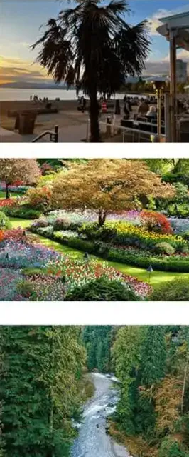 Vancouver | The Ultimate Sightseeing Cheat Sheet​​