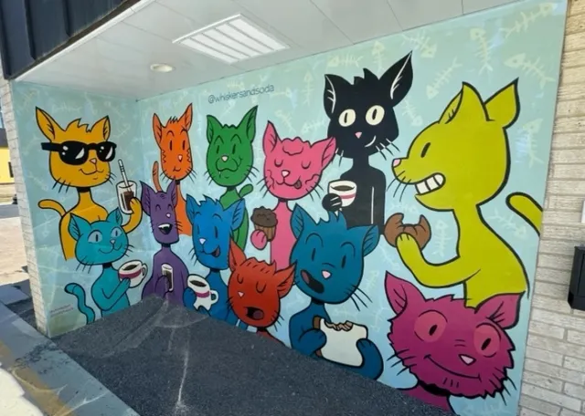 Dallas Cat Café + Hutchins