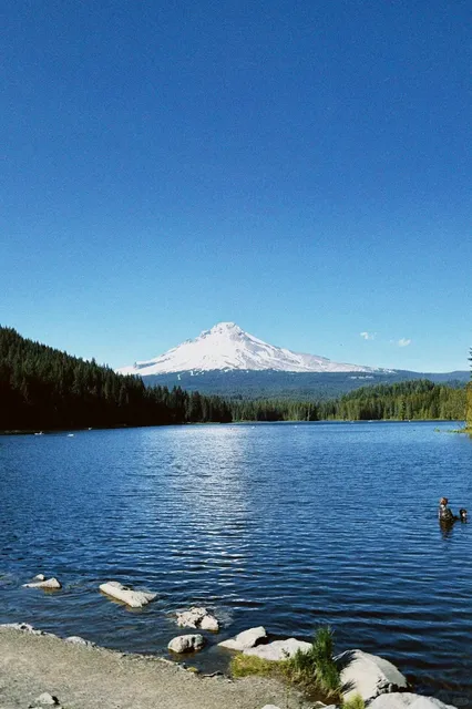 One Human, One Dog | Portland Adventure 🐕‍👩‍🦰